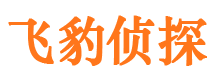 曲江市出轨取证